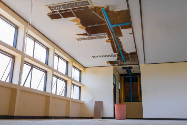 Best Water damage restoration experts  in Naples Manor, FL