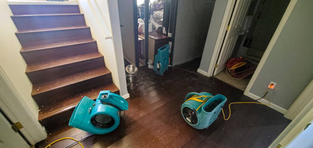 Best Water damage contractors near me  in Naples Manor, FL