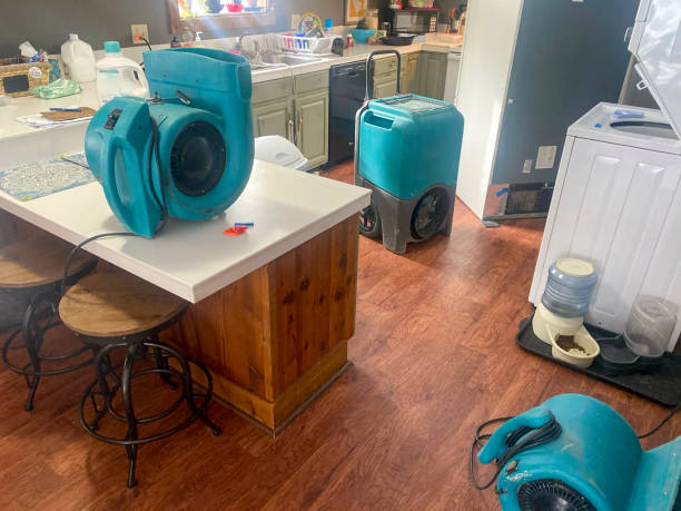  Naples Manor, FL Water damage restoration Pros
