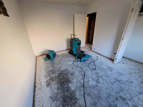 Best 24-hour water damage restoration  in Naples Manor, FL