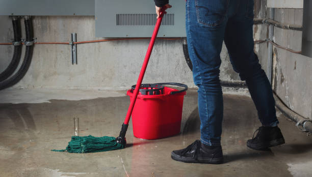 Best Water damage restoration near me  in Naples Manor, FL
