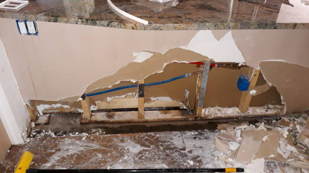 Best Carpet water damage restoration  in Naples Manor, FL