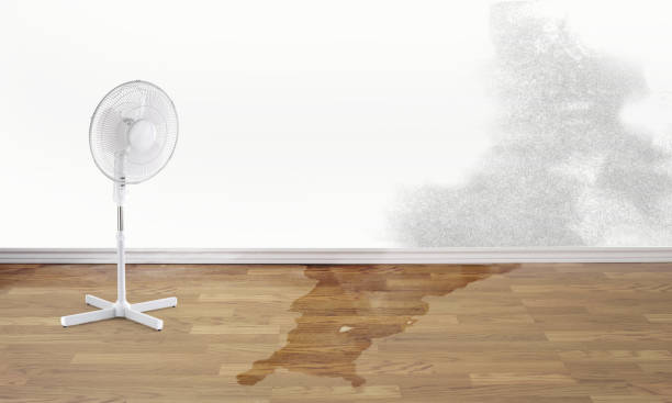 Best Water damage restoration services  in Naples Manor, FL