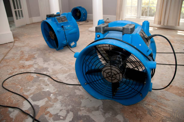 Best Commercial water damage restoration  in Naples Manor, FL