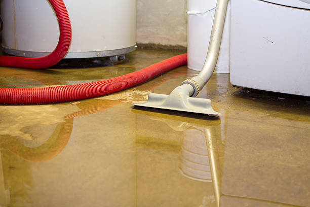 Best Water damage restoration near me  in Naples Manor, FL