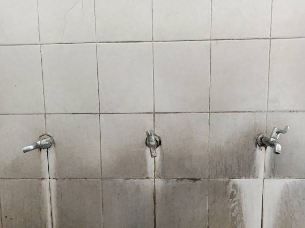 Best Flood damage cleanup  in Naples Manor, FL