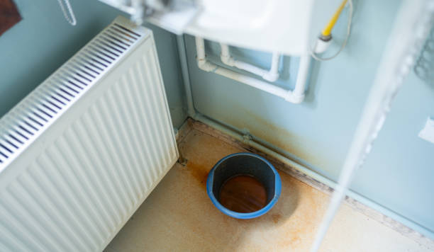Best Professional water damage repair  in Naples Manor, FL