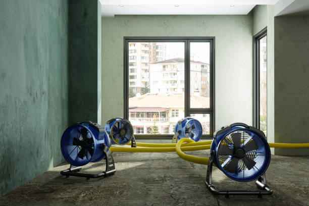 Local water damage restoration in Naples Manor, FL